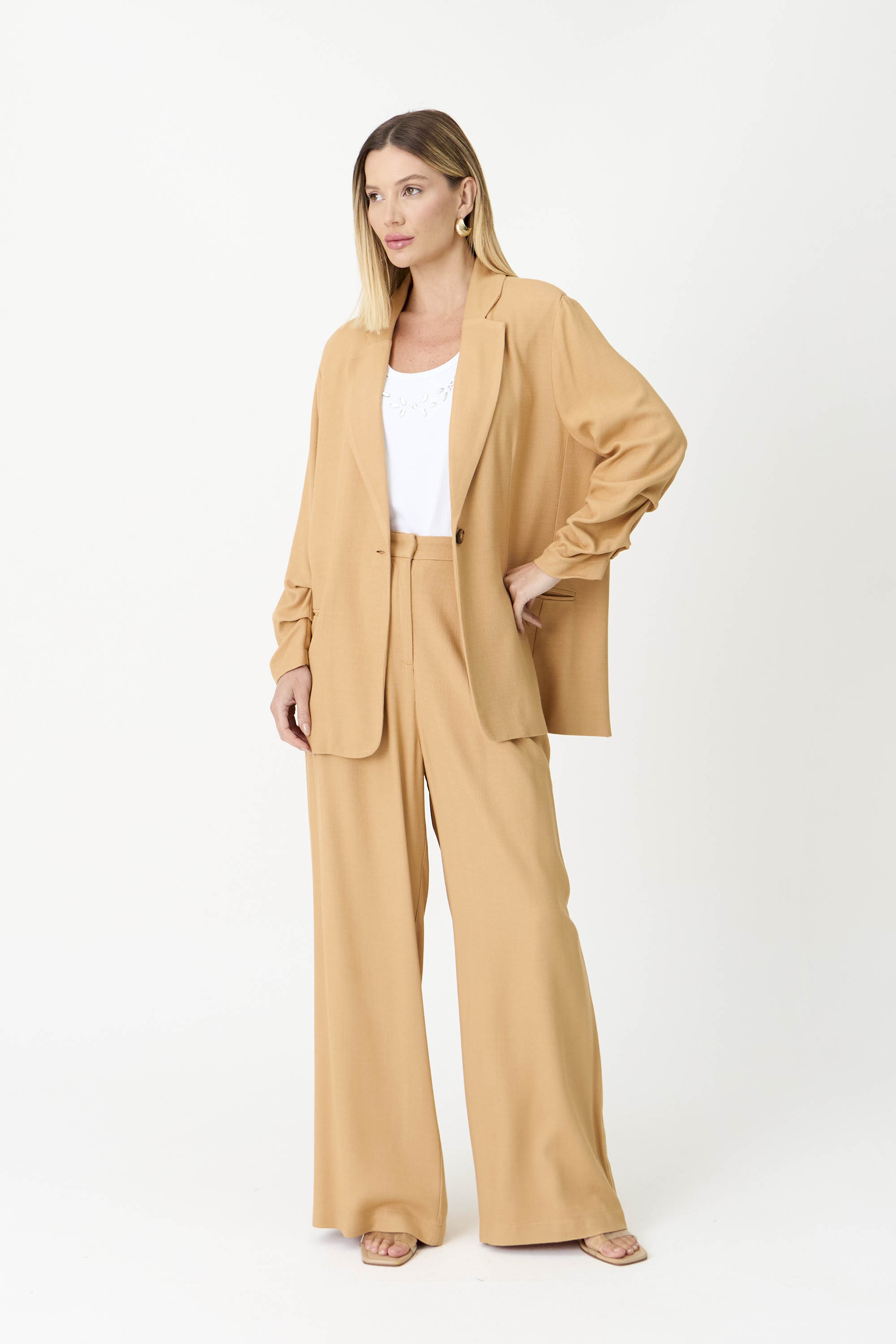 REST0290.2 - CALÇA DE ALFAIATARIA COM PREGAS (REST0291)
